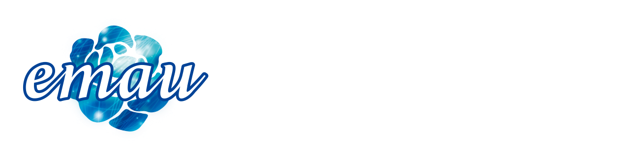 株式会社エマウ
